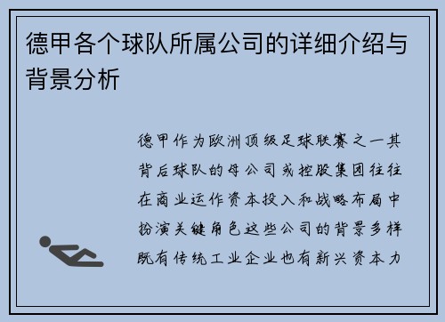 德甲各个球队所属公司的详细介绍与背景分析